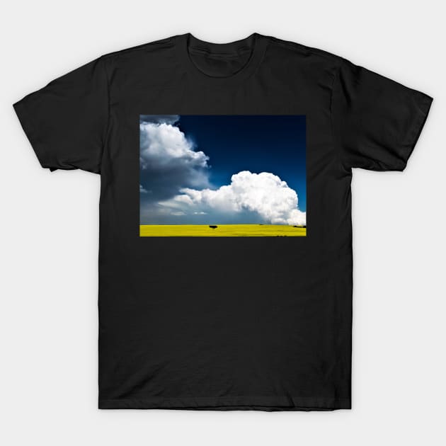 Storm over canola field T-Shirt by CanadianWild418